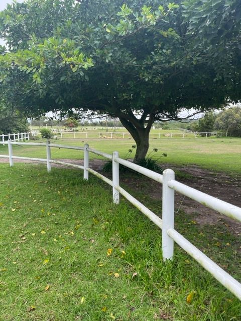 14 Bedroom Property for Sale in Roodefontein AH Western Cape